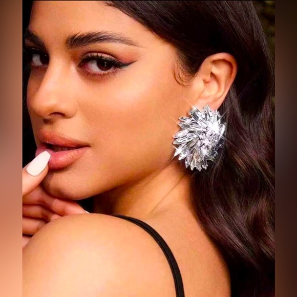 Quiet Luxury Boutique Jewelry - ✨NEW Elegant Silver Floral Earrings